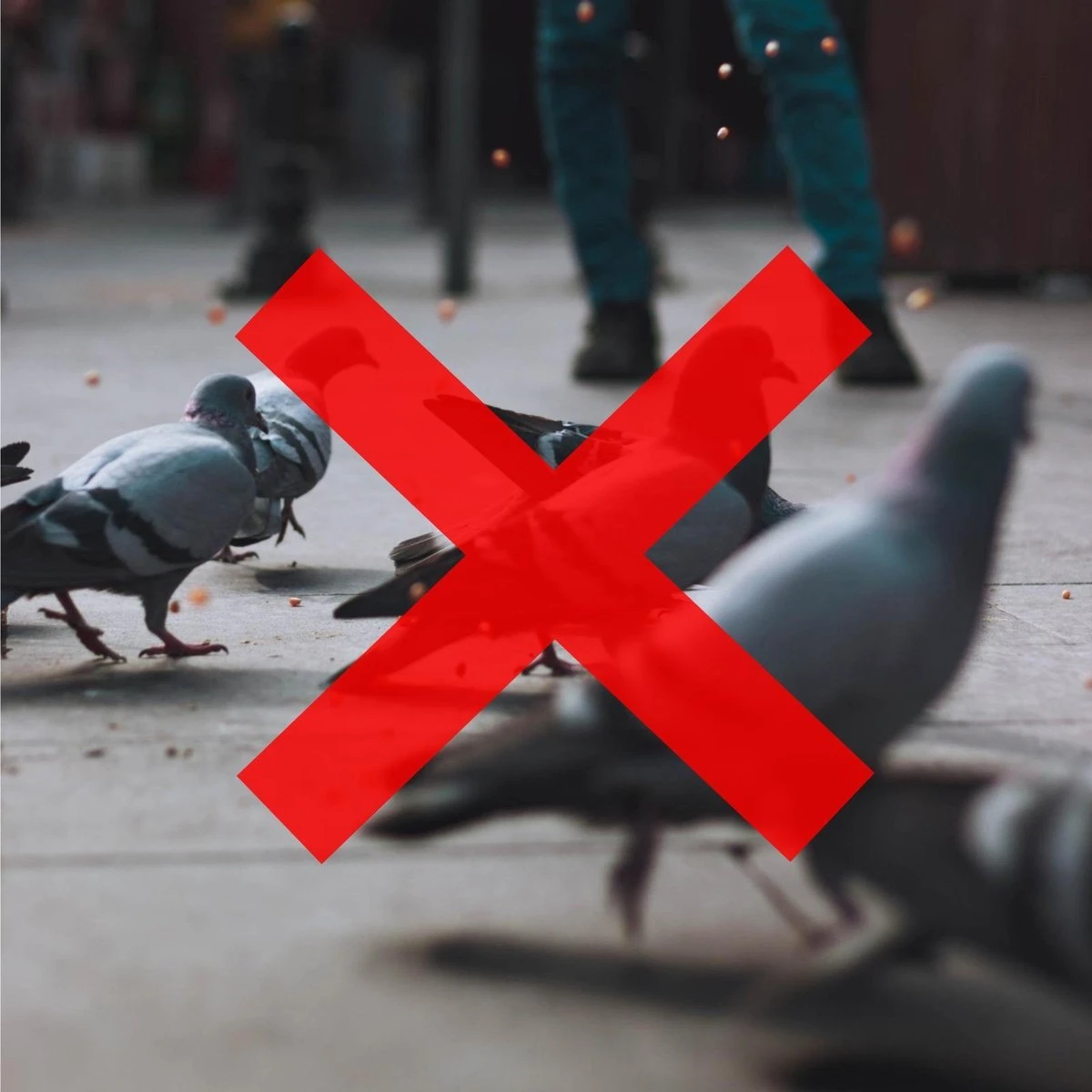 Merkloos 3 X Duivenverjager Kraai - Vogelverschrikker - Vogelverjager - Kunststof Kraaien - Afbeelding 7