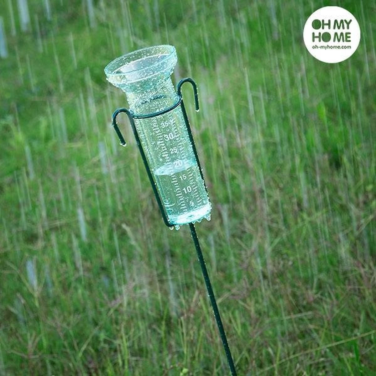 Pro Garden Regenmeter Met Grondpen 75 Cm Staal Groen 2-delig - Afbeelding 2