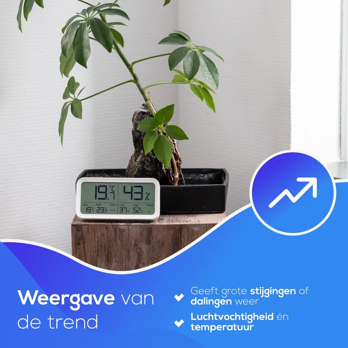 LifeWise Hygrometer Binnen - Luchtvochtigheidsmeter - Min/Max En Trend Weergave - Incl. Batterij - Afbeelding 6