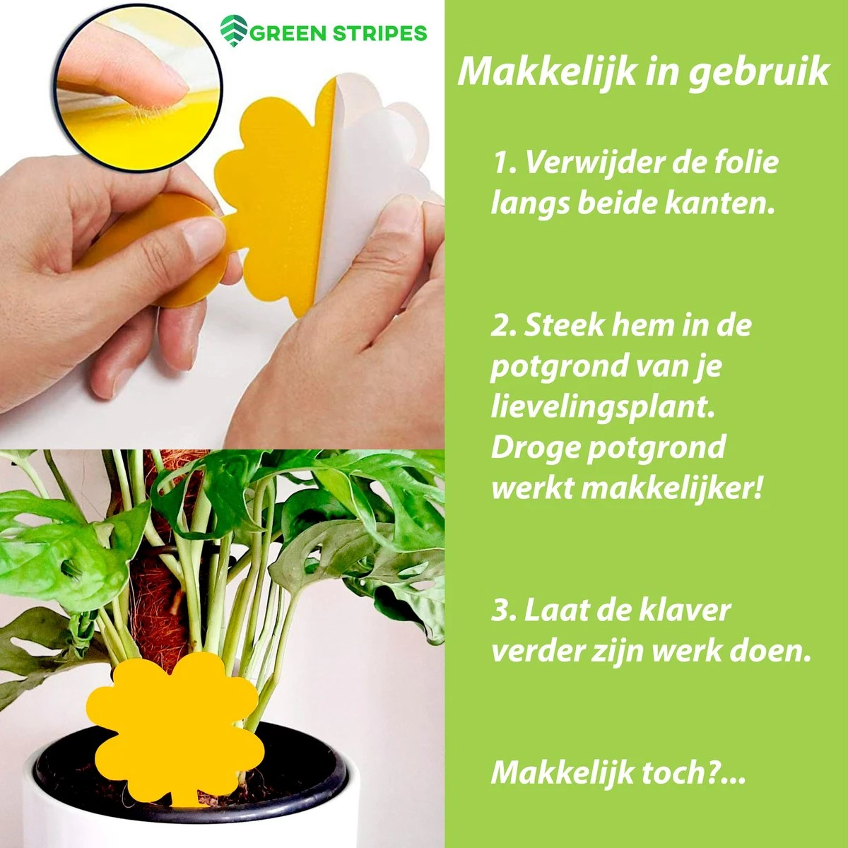 Plak Klavertjes Tegen Rouwvliegjes 48 Stuks - Rouwvliegjes Bestrijden - Varenrouwmug - Plakstrips - Vangkaarten - Vangplaten - Insectenval - Insectenvanger - Afbeelding 6