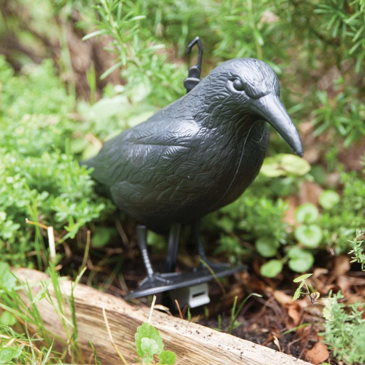 Orange85 Vogelverschrikker Vogelverjager Kraai 36,2 Cm Polyetheen - Afbeelding 3