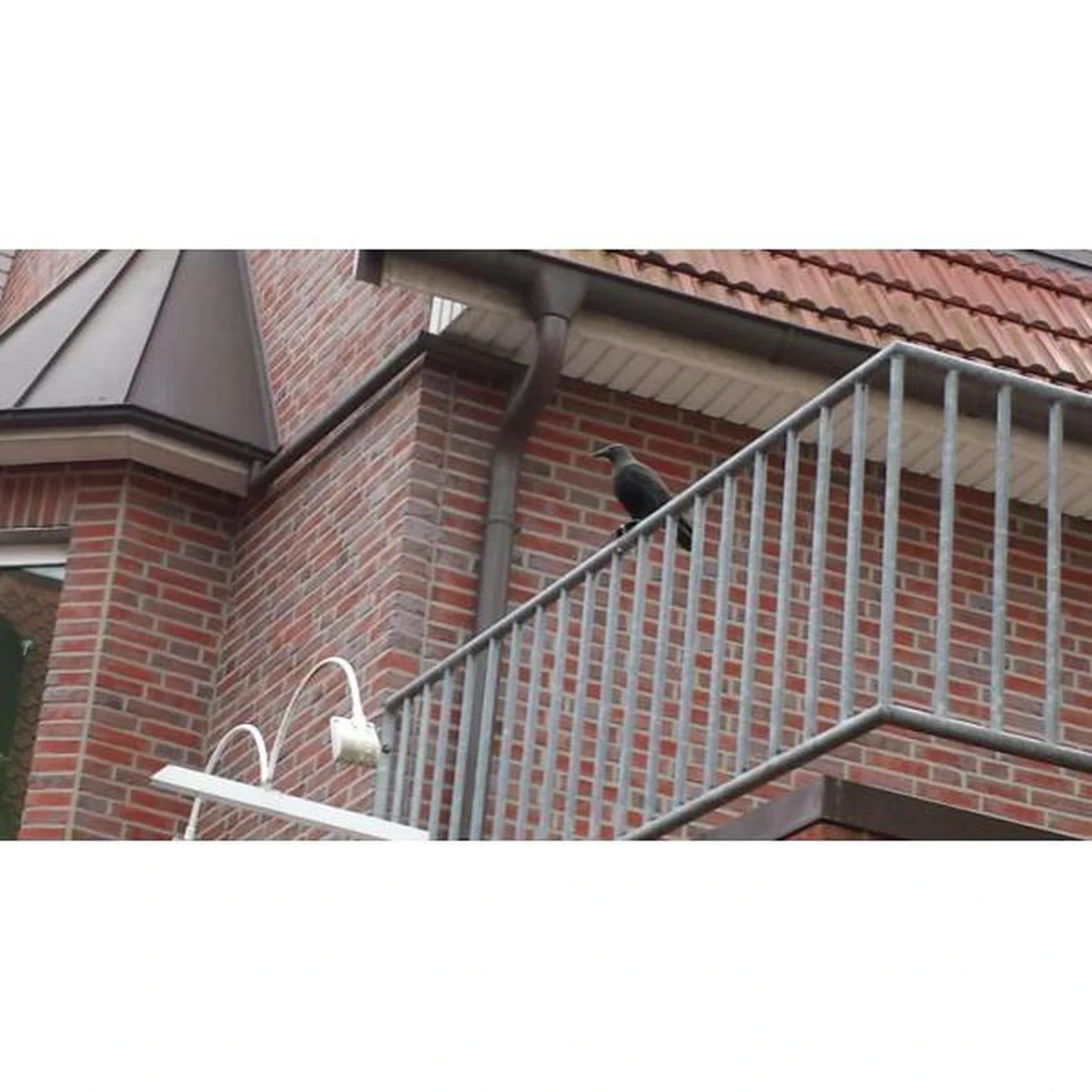 Orange85 Vogelverschrikker Vogelverjager Kraai 36,2 Cm Polyetheen - Afbeelding 6