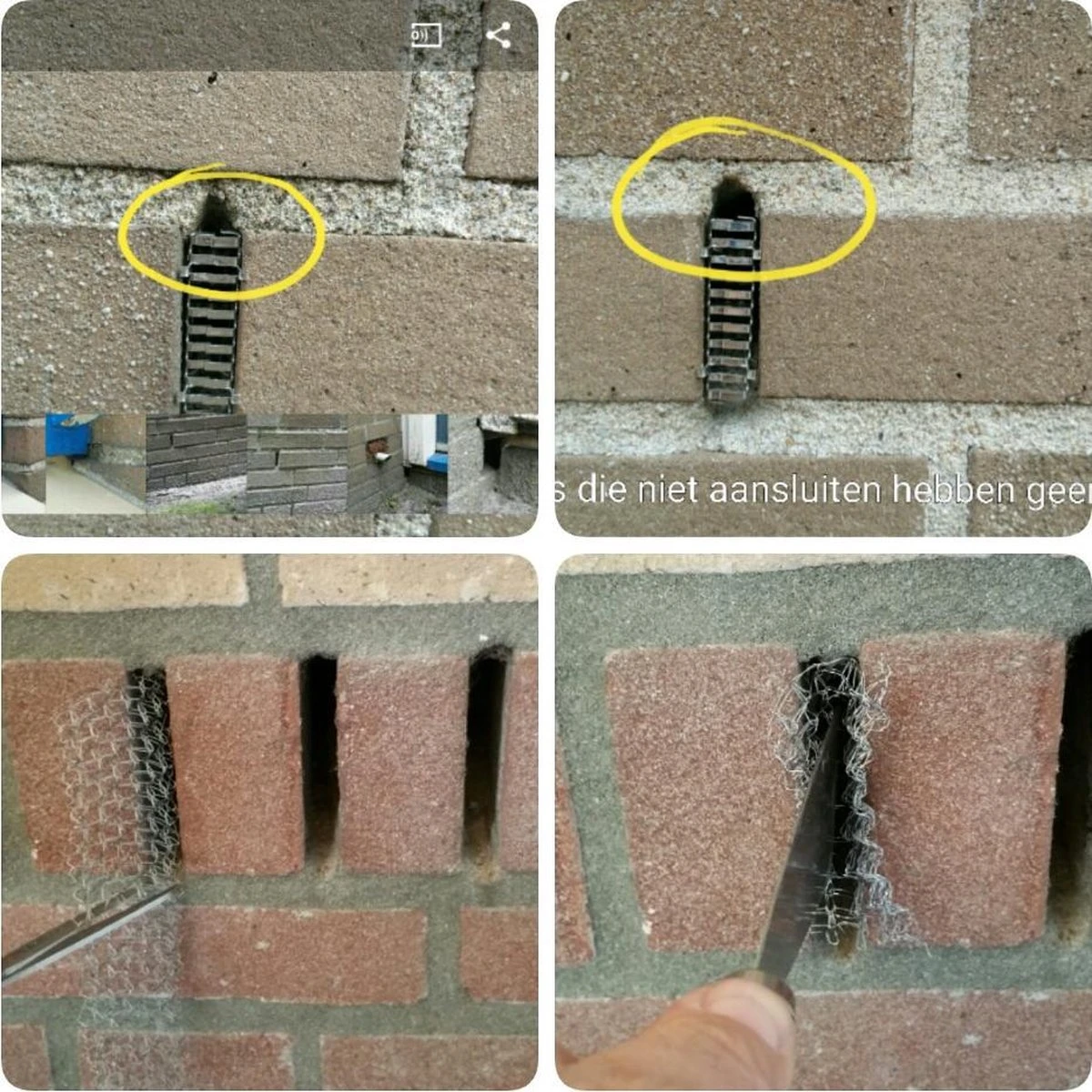 RVS Wering Gaas - Muizengaas - Afdichtingsnet - Netnox - Stootvoegroostergaas - Rattengaas - Insectengaas - Rvs Gaas - Per 1 Meter - Afbeelding 6