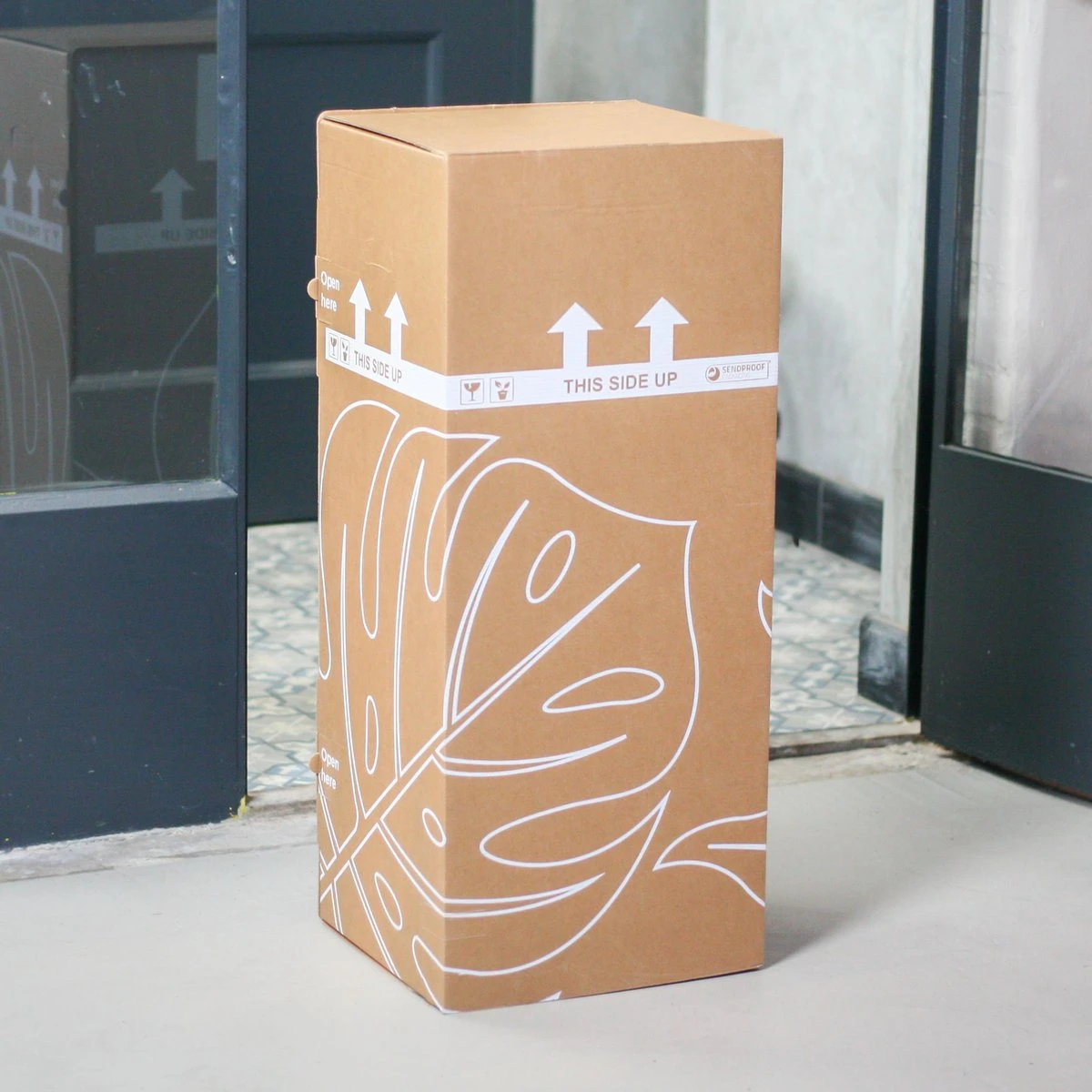 Monstera Deliciosa | Kamerplant | Groene Plant | Gatenplant | Potmaat 17cm | Hoogte 50cm | Geleverd In Kwekerspot - Afbeelding 2