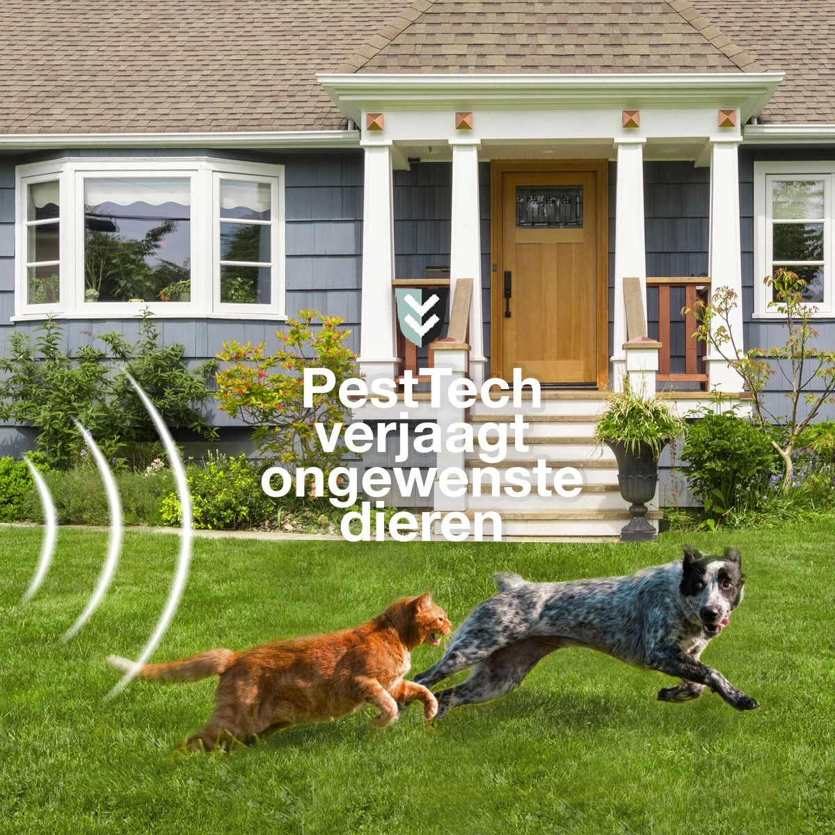 Pest-Tech PT-221 | Ultrasone Kattenverjager Op Zonneenergie | Kattenschrik | Marterverjager | Dierenverjager | Kattenafweermiddel | Ongedierte Verjager - Met USB Oplaadkabel - Afbeelding 4