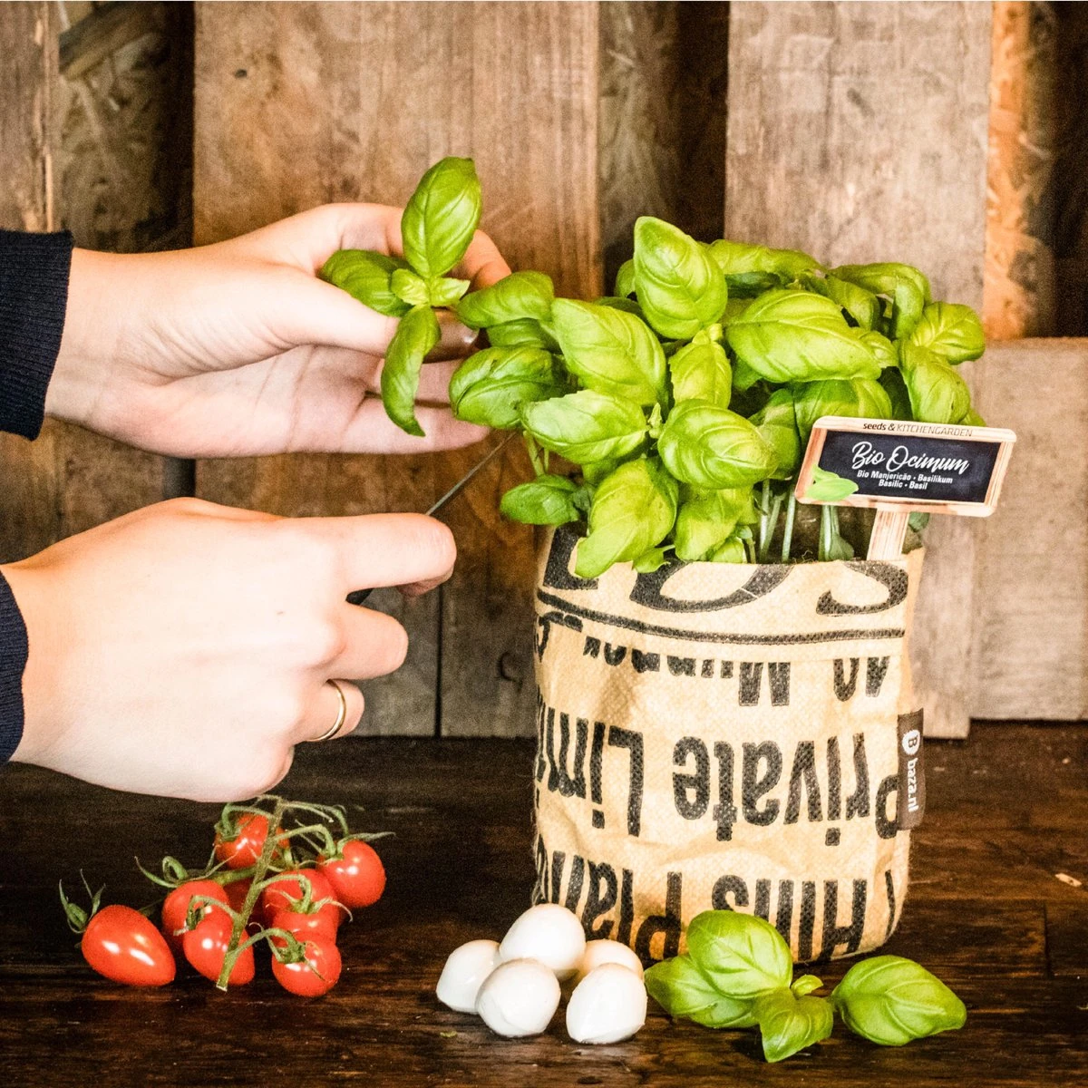 Van 32,95 Voor 24,95 3 Stuks Moestuin Kweekset Aardbei, Tomaat Paprika GRATIS VERZENDING - Afbeelding 2