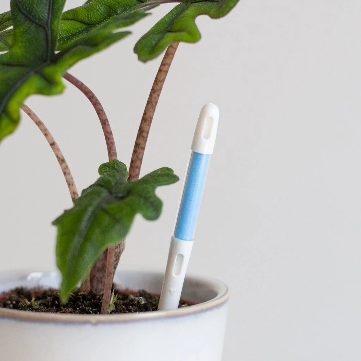 Watermeter - S - Afbeelding 4