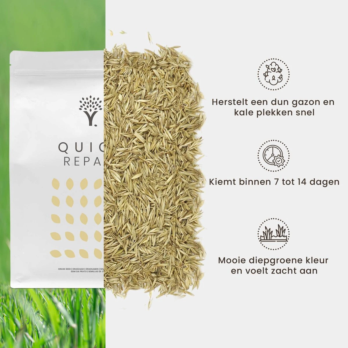 Snel Herstel Graszaad Voor 50m² Gras | Perfect Bij Kale Plekken En Een Beschadigd Gazon - Afbeelding 3