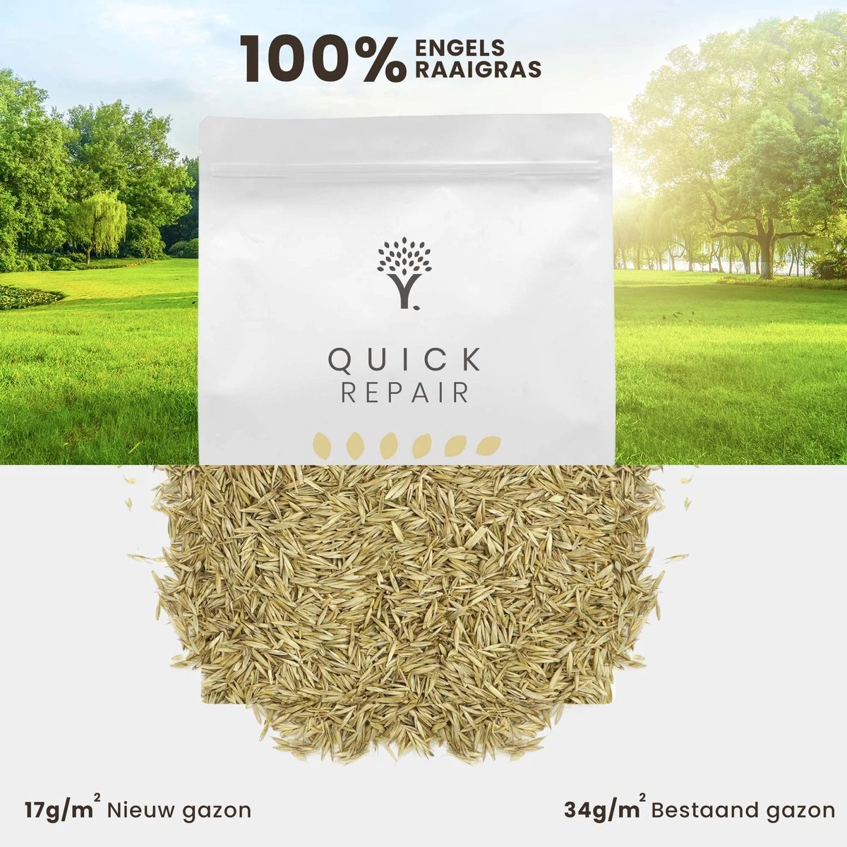 Snel Herstel Graszaad Voor 50m² Gras | Perfect Bij Kale Plekken En Een Beschadigd Gazon - Afbeelding 7