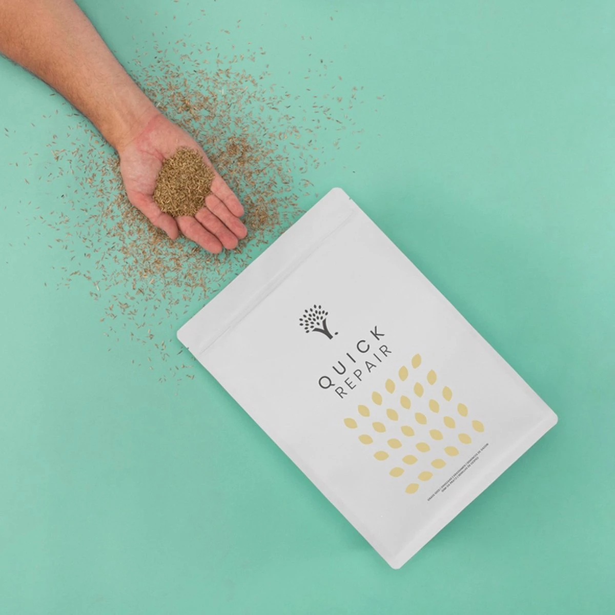 Snel Herstel Graszaad Voor 50m² Gras | Perfect Bij Kale Plekken En Een Beschadigd Gazon - Afbeelding 10