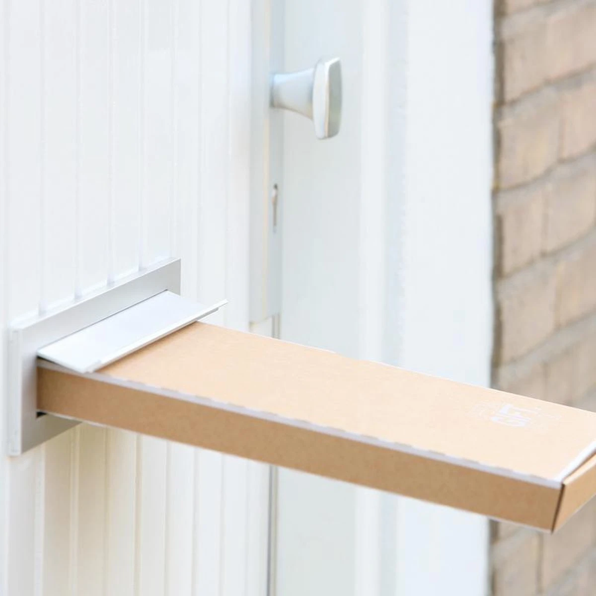 Luchtplantjes - Afbeelding 2