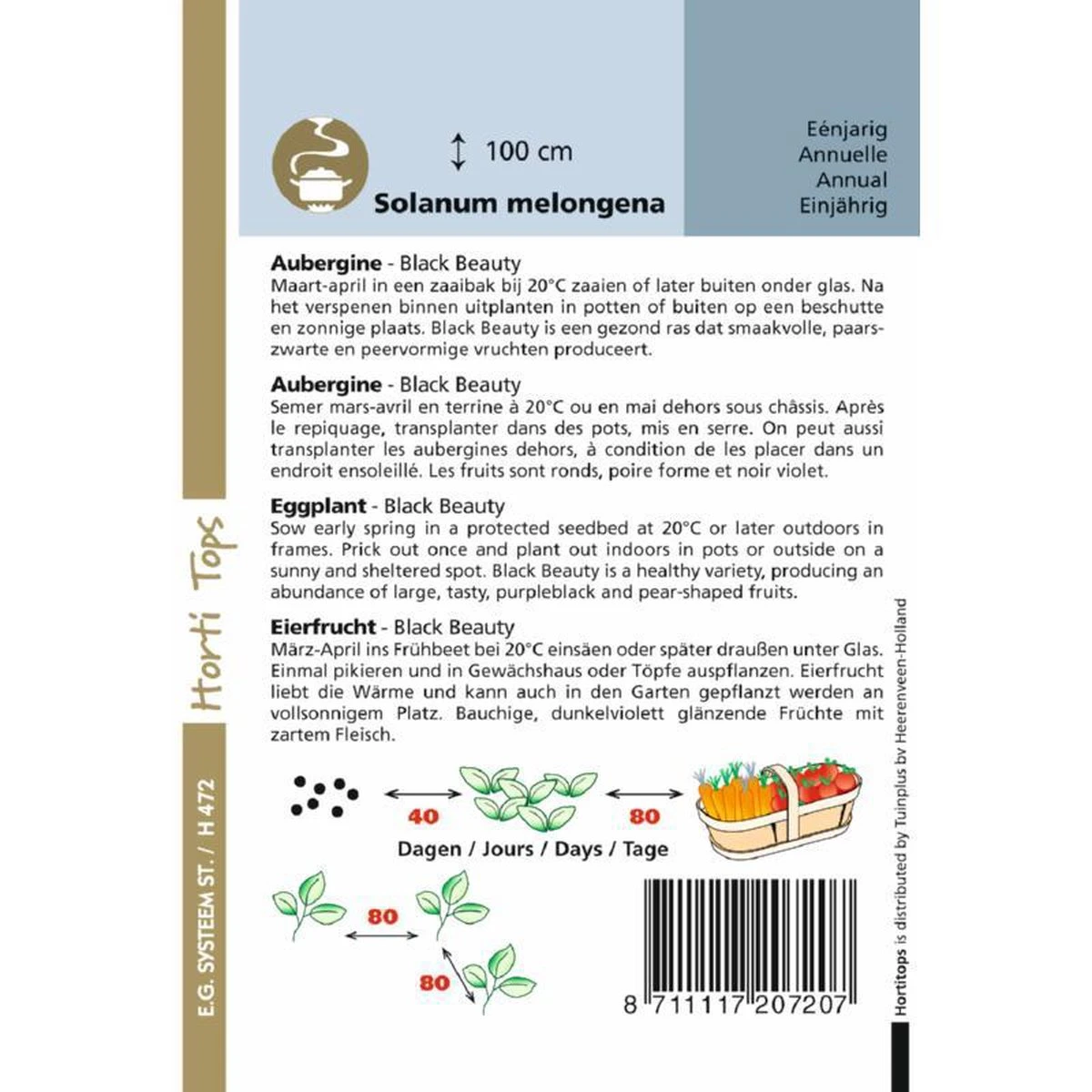 Hortitops Zaden - Aubergine Black Beauty 1 Gram - Afbeelding 2