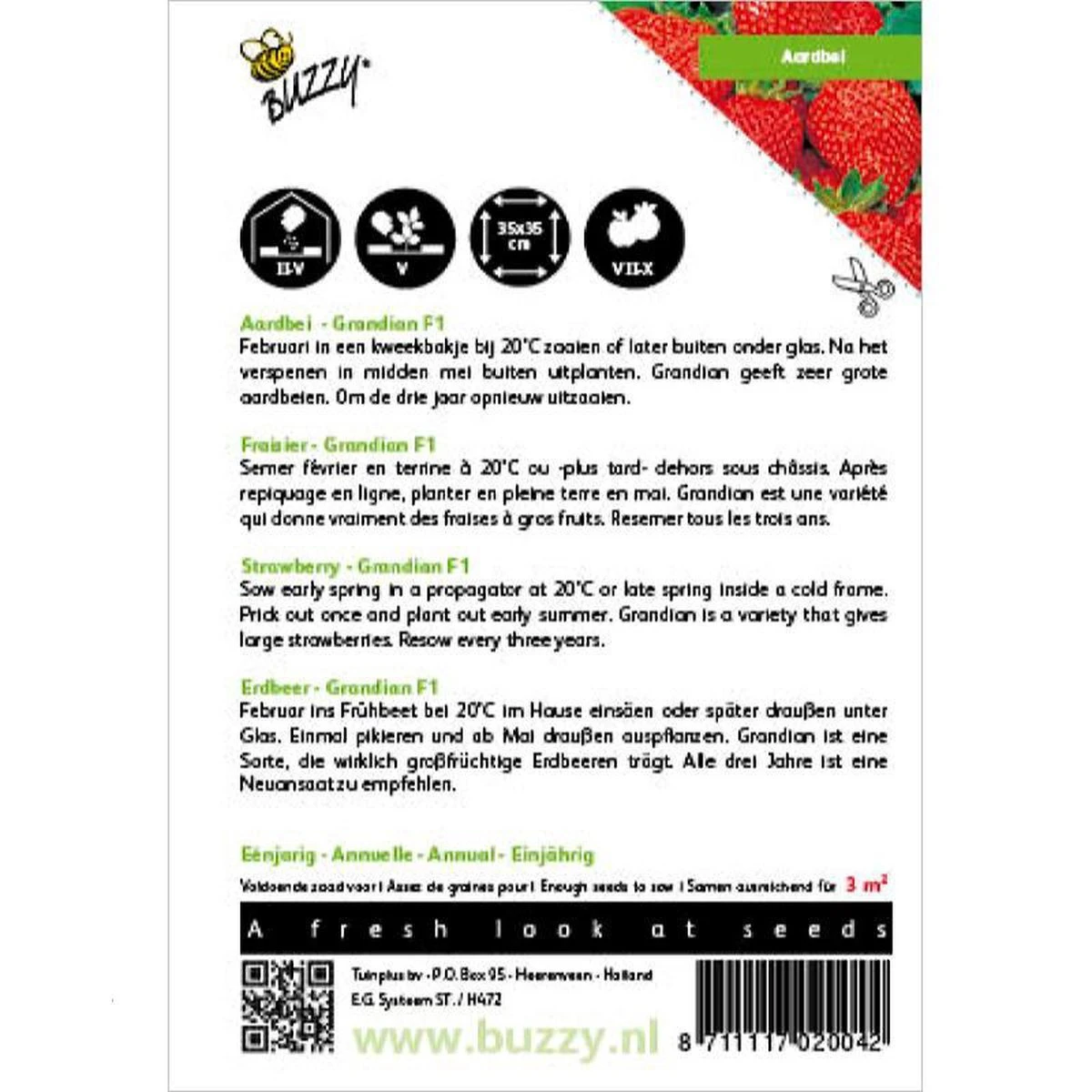 Buzzy® Aardbeien Grandian F1 - Afbeelding 3