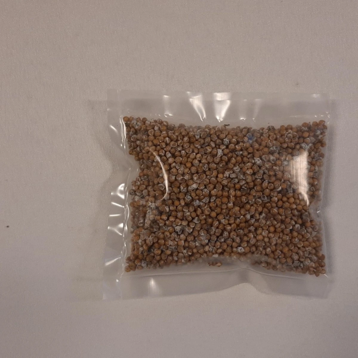 Zakje Sporen / Zaden Van Grijze Oesterzwam (circa 40 Gr)