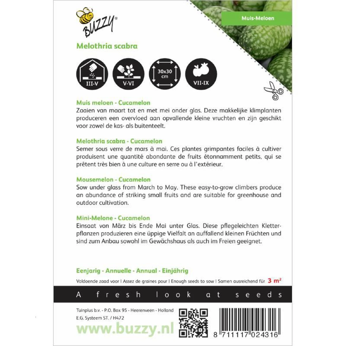 Buzzy Zaden - Cucamelons Muismeloen 15 Zaden - Afbeelding 2