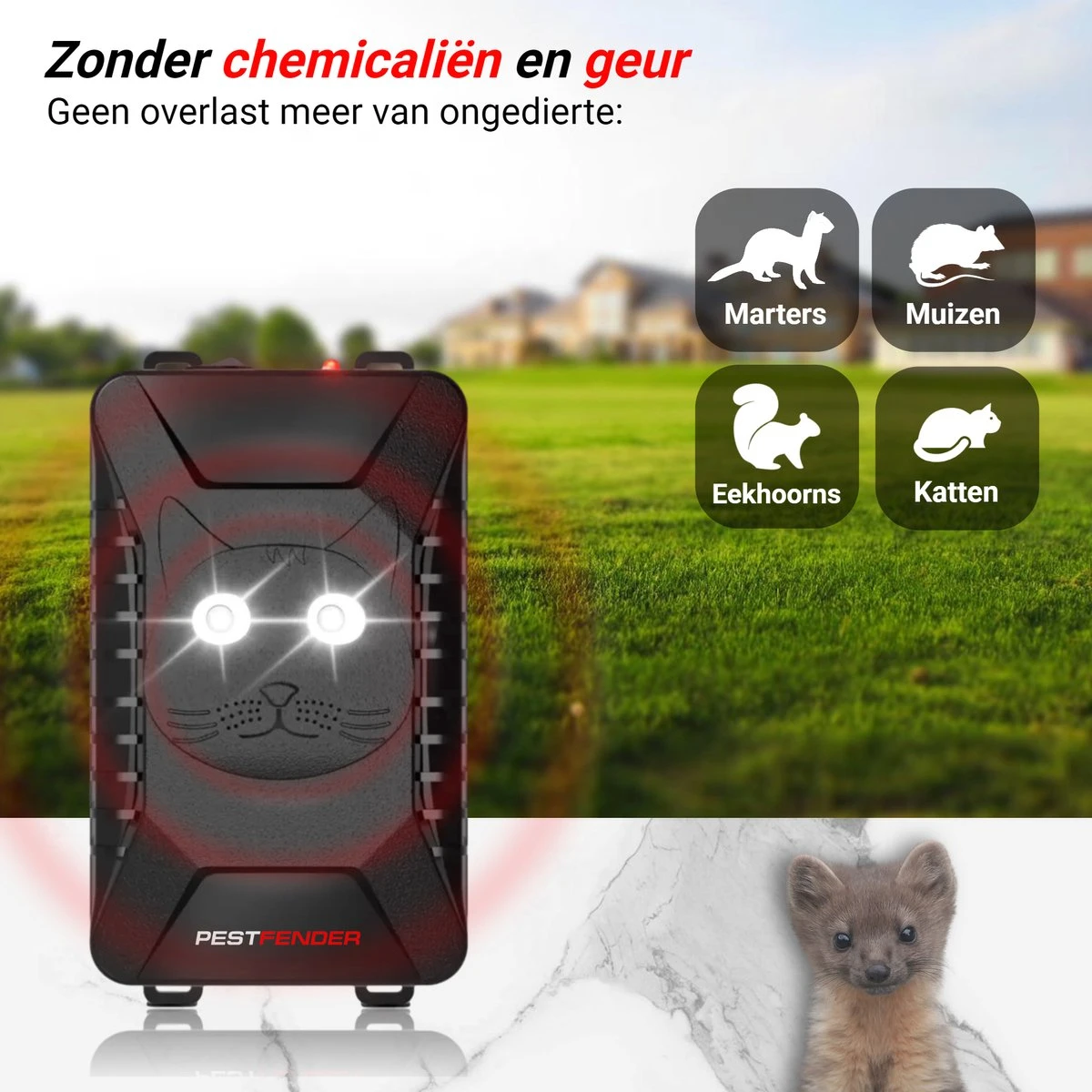 PestFender Marterverjager - Ongedierteverjager - Muizenverjager & Rattenverjager - Ultrasone & Flitsen - Werkt Op Autoaccu, Batterijen Of Netstroom - Voor Binnen, Buiten En Auto - Marter Verjager - Steenmarter - Afbeelding 2