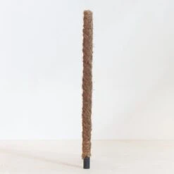 Mosstok - 80cm
