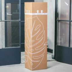 Zamioculcas Zamiifolia | Groene Kamerplant | Palm | Pot 21cm | Hoogte 75 Cm | Geleverd In Kwekerspot