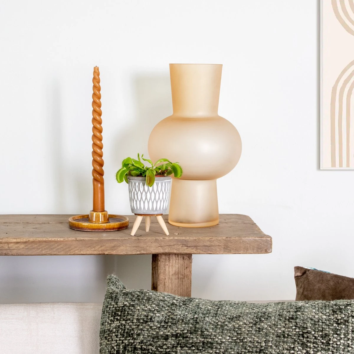 Kleine Vleesetende Plant | Dionaea Per Stuk - Binnen- En Buitenplant In Kwekerspot ⌀6 Cm - ↕10 Cm - Afbeelding 4