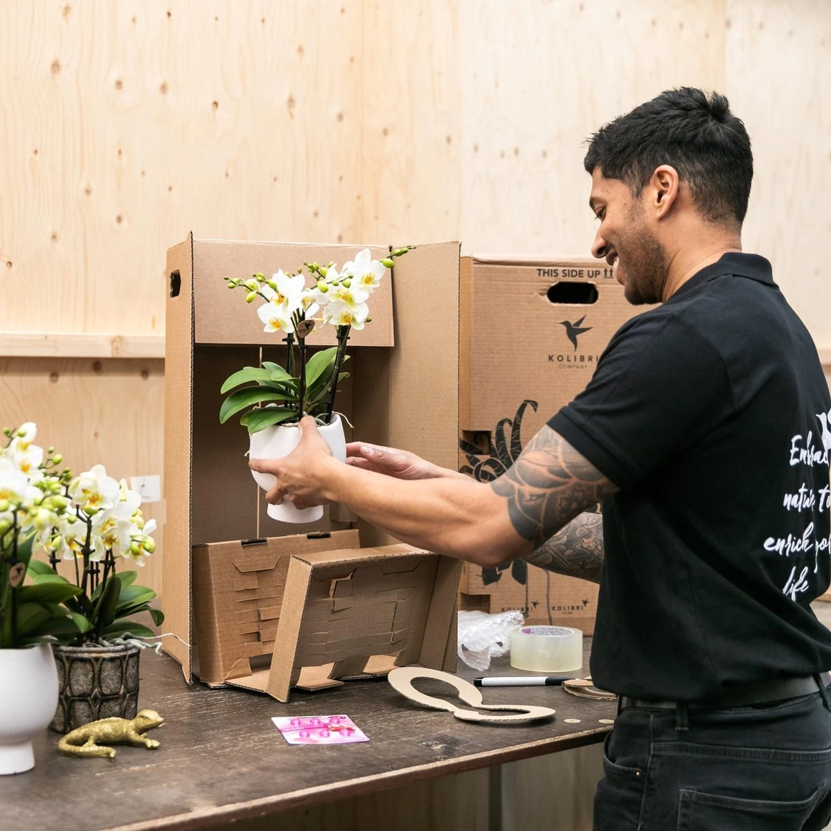 Kolibri Orchids | Rode Phalaenopsis Orchidee - Congo - Potmaat Ø9cm | Bloeiende Kamerplant - Vers Van De Kweker - Afbeelding 6