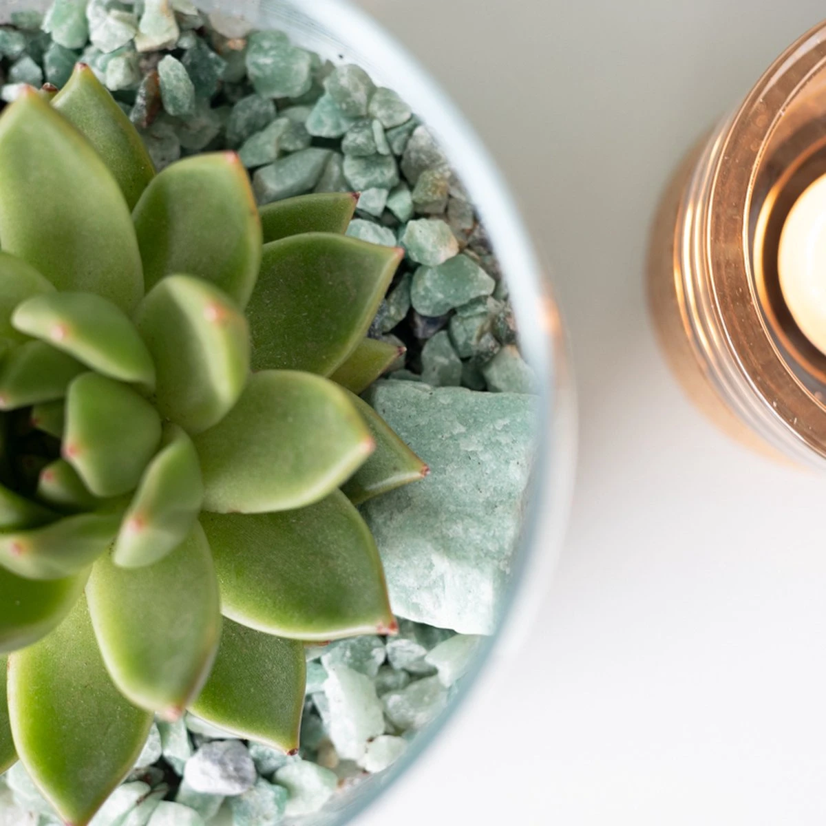 Glaasje Geluk | Echeveria Miranda | In Glas Arrangement | Planten | Bloompost - Afbeelding 4