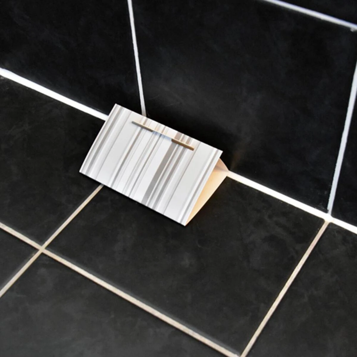 De HGX Zilvervisjesval - 2 Stuks - Bevat Geen Gif - Geurvrij - Voor Elk Interieur - Afbeelding 2