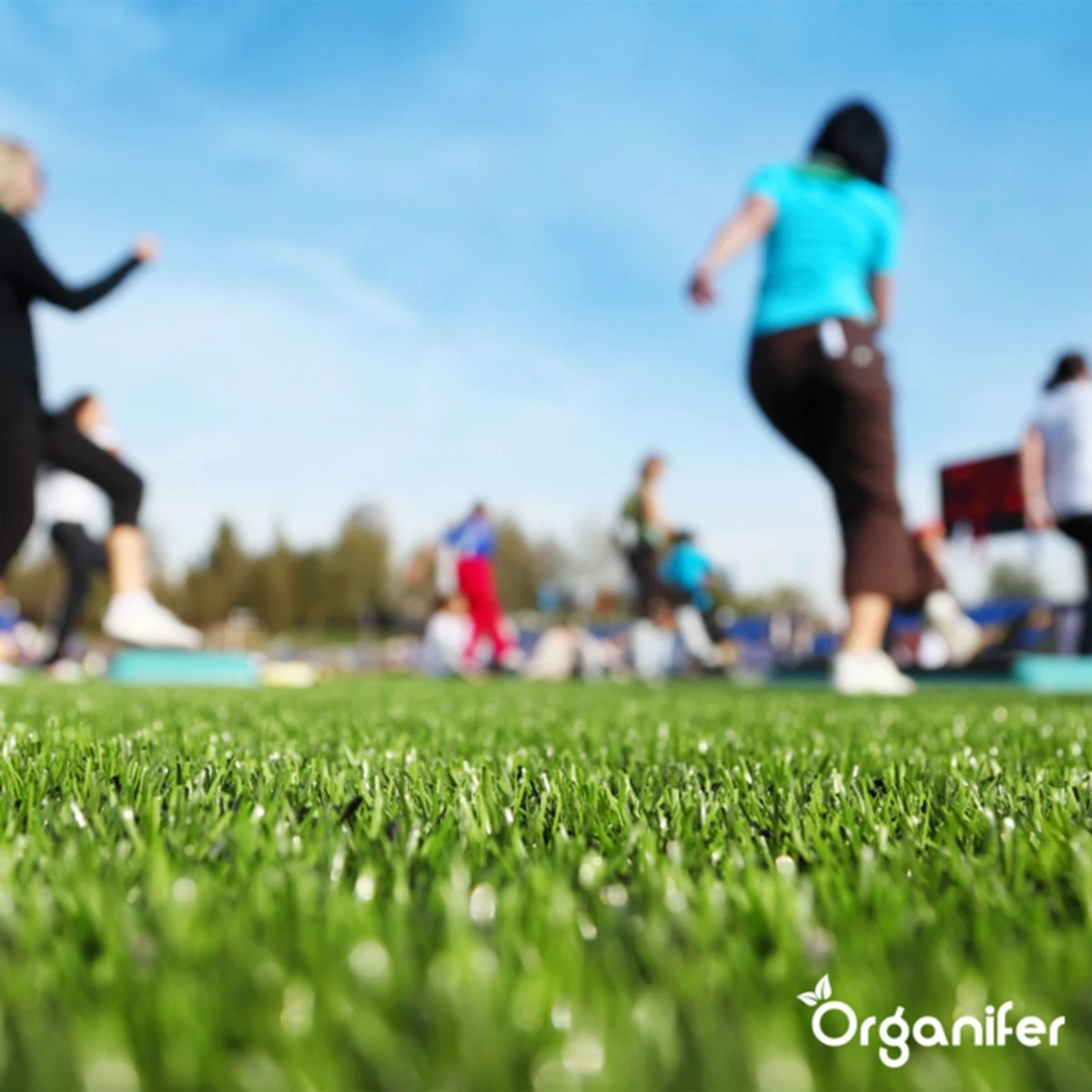 Speelgazon Graszaad (1kg Voor 50m2) - Snelkiemend En Zelfherstellend Sportgazon Bestand Tegen Betreding - Resilient - Organifer - Afbeelding 5