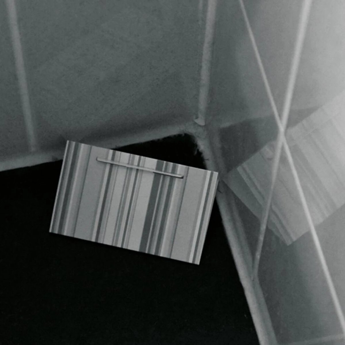 De HGX Zilvervisjesval - 2 Stuks - Bevat Geen Gif - Geurvrij - Voor Elk Interieur - Afbeelding 3