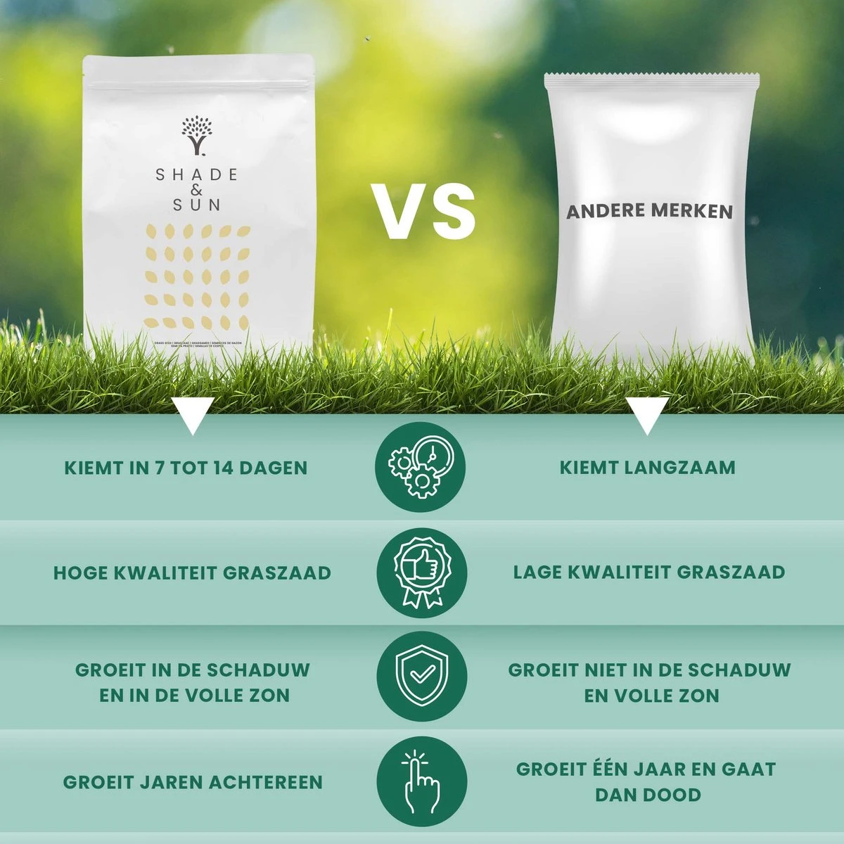 Schaduw Graszaad Voor 50m² Gras | Voor Een Gazon Met Veel Schaduw | Hitte & Droogte Resistent - Afbeelding 5