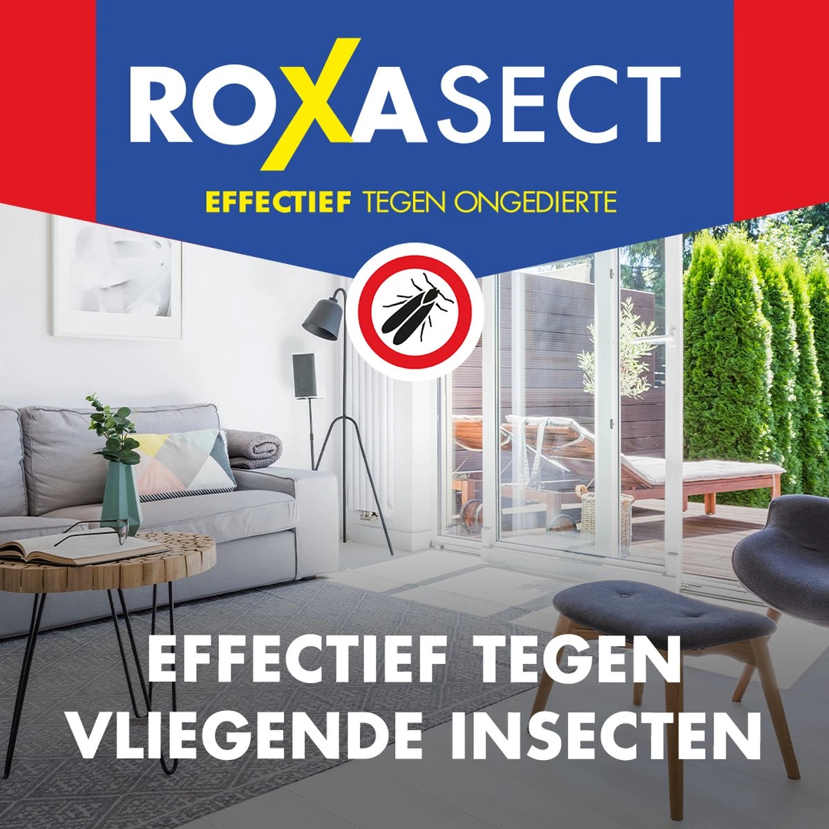 Roxasect Spray Tegen Vliegende Insectentegen - Ongediertewering - 400ml - Afbeelding 7