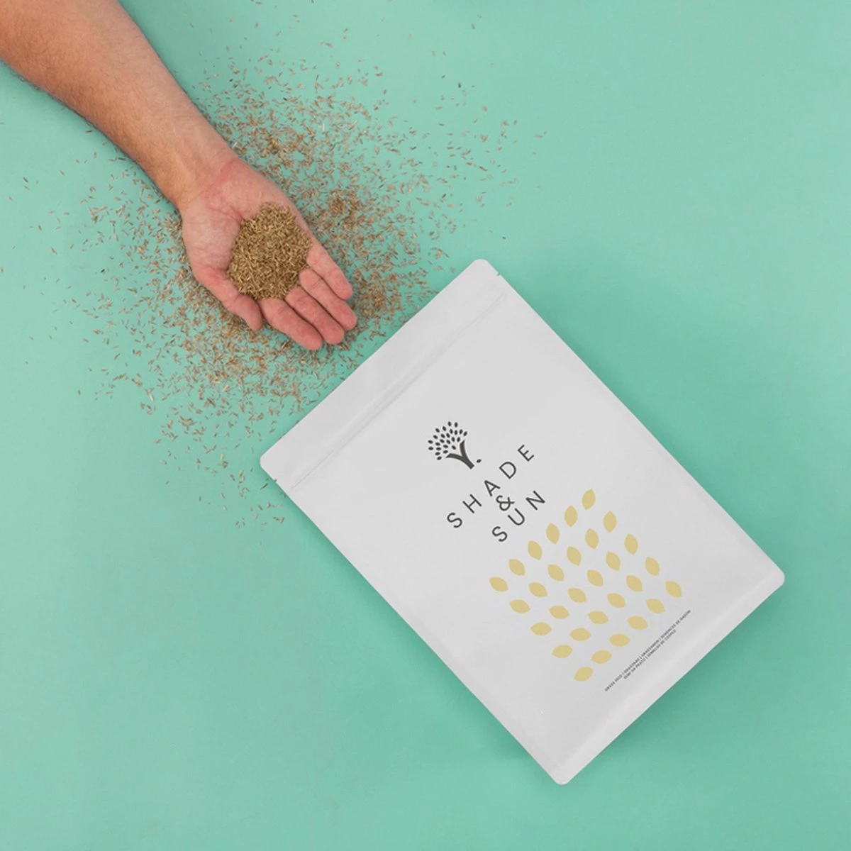 Schaduw Graszaad Voor 50m² Gras | Voor Een Gazon Met Veel Schaduw | Hitte & Droogte Resistent - Afbeelding 9