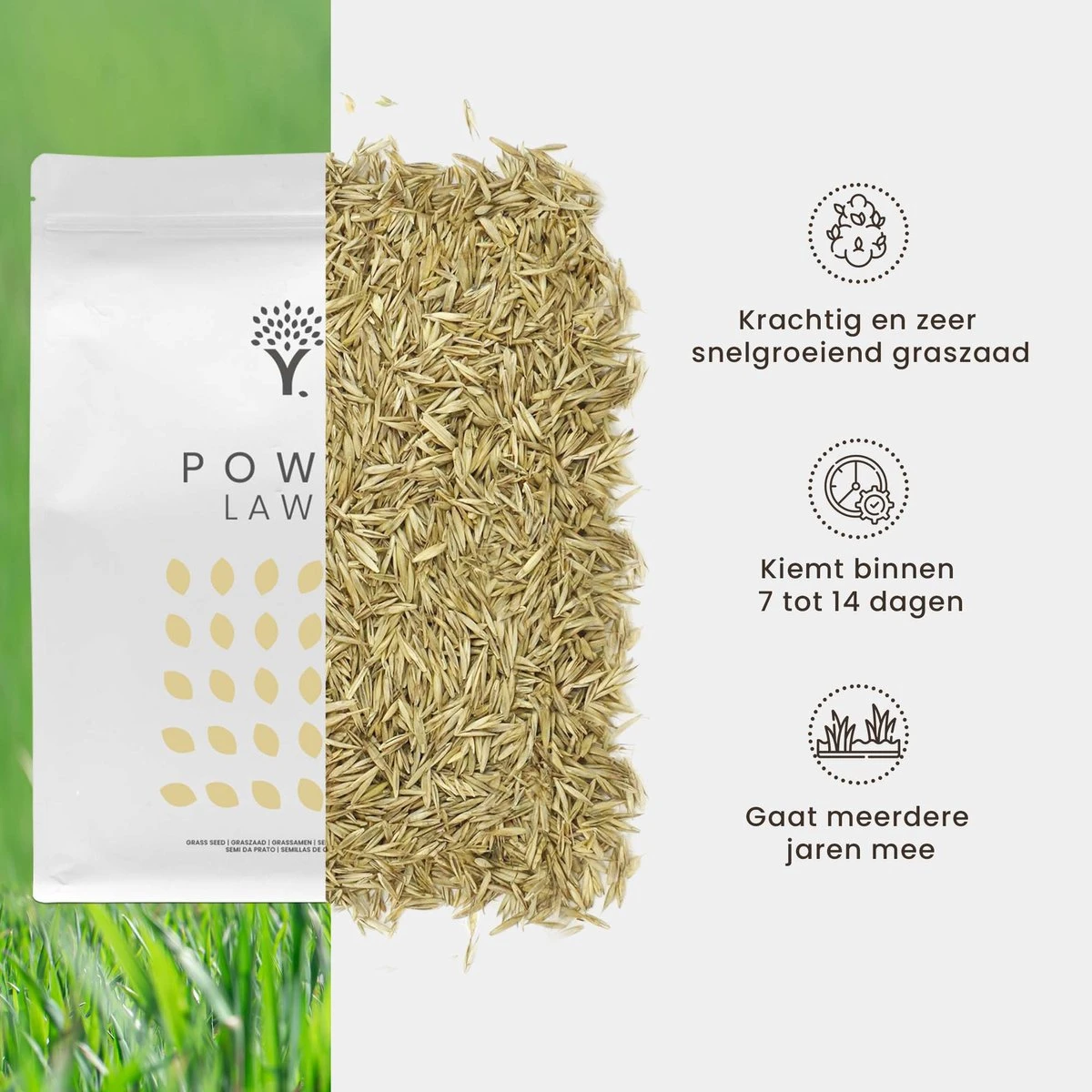 Snelkiemend Power Graszaad Voor 100m² Gras | Hoge Kwaliteit Gras Voor Een Snel Groeiend Meerjarig Gazon - Afbeelding 4