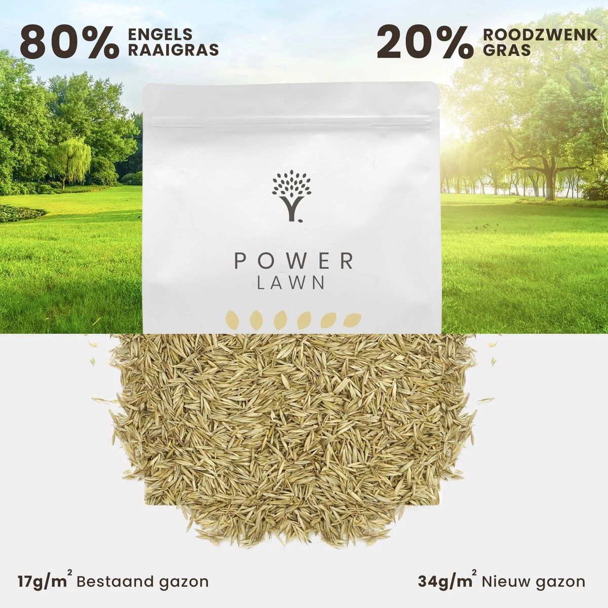 Snelkiemend Power Graszaad Voor 100m² Gras | Hoge Kwaliteit Gras Voor Een Snel Groeiend Meerjarig Gazon - Afbeelding 6