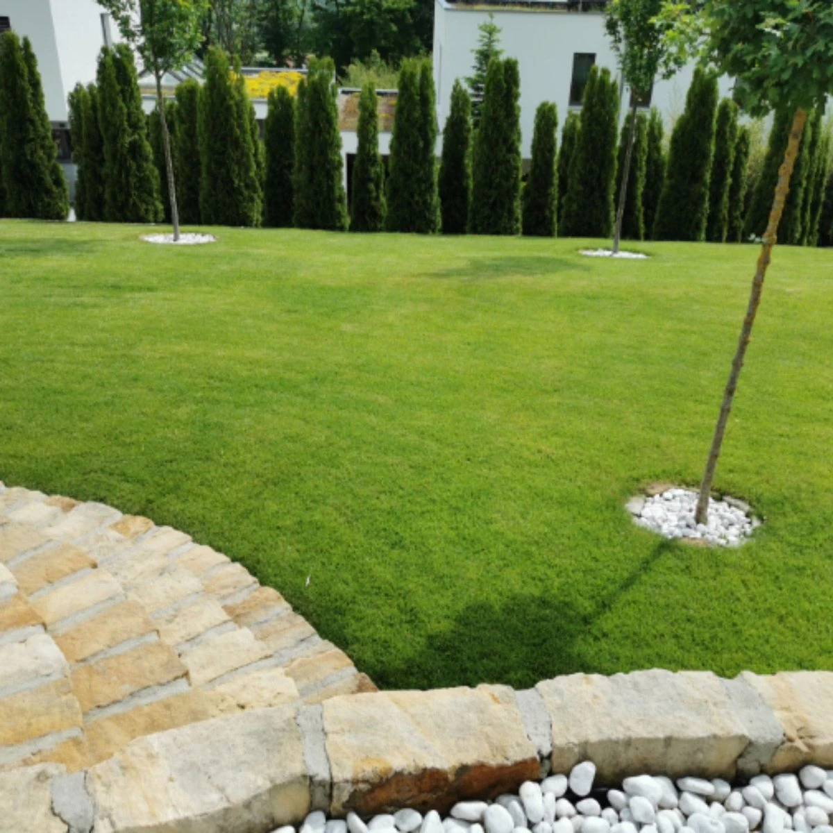 Snelkiemend Power Graszaad Voor 100m² Gras | Hoge Kwaliteit Gras Voor Een Snel Groeiend Meerjarig Gazon - Afbeelding 7