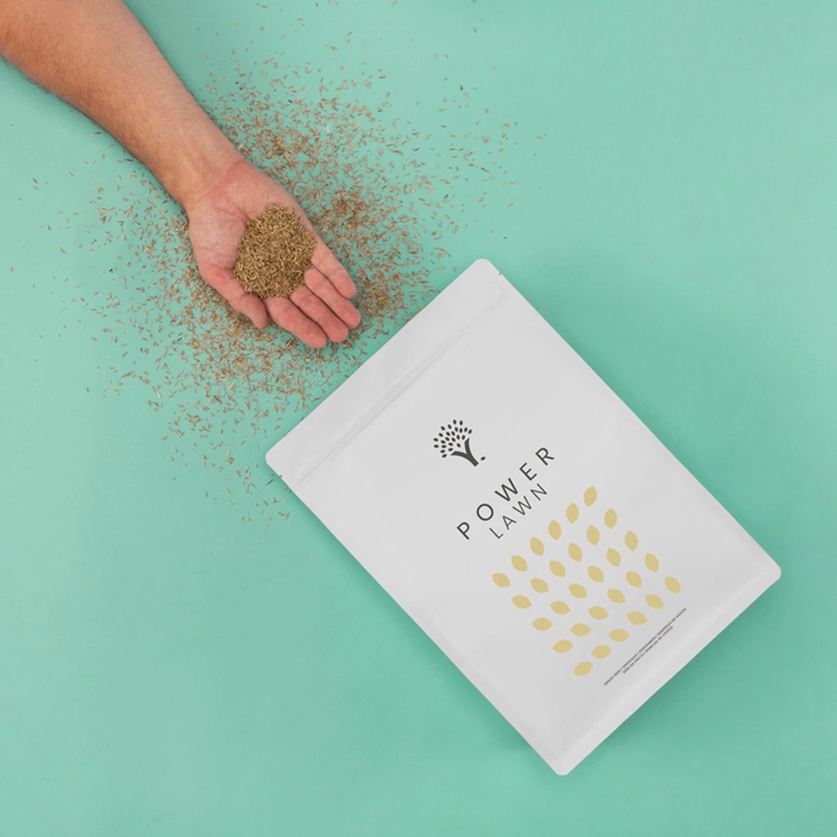 Snelkiemend Power Graszaad Voor 100m² Gras | Hoge Kwaliteit Gras Voor Een Snel Groeiend Meerjarig Gazon - Afbeelding 8