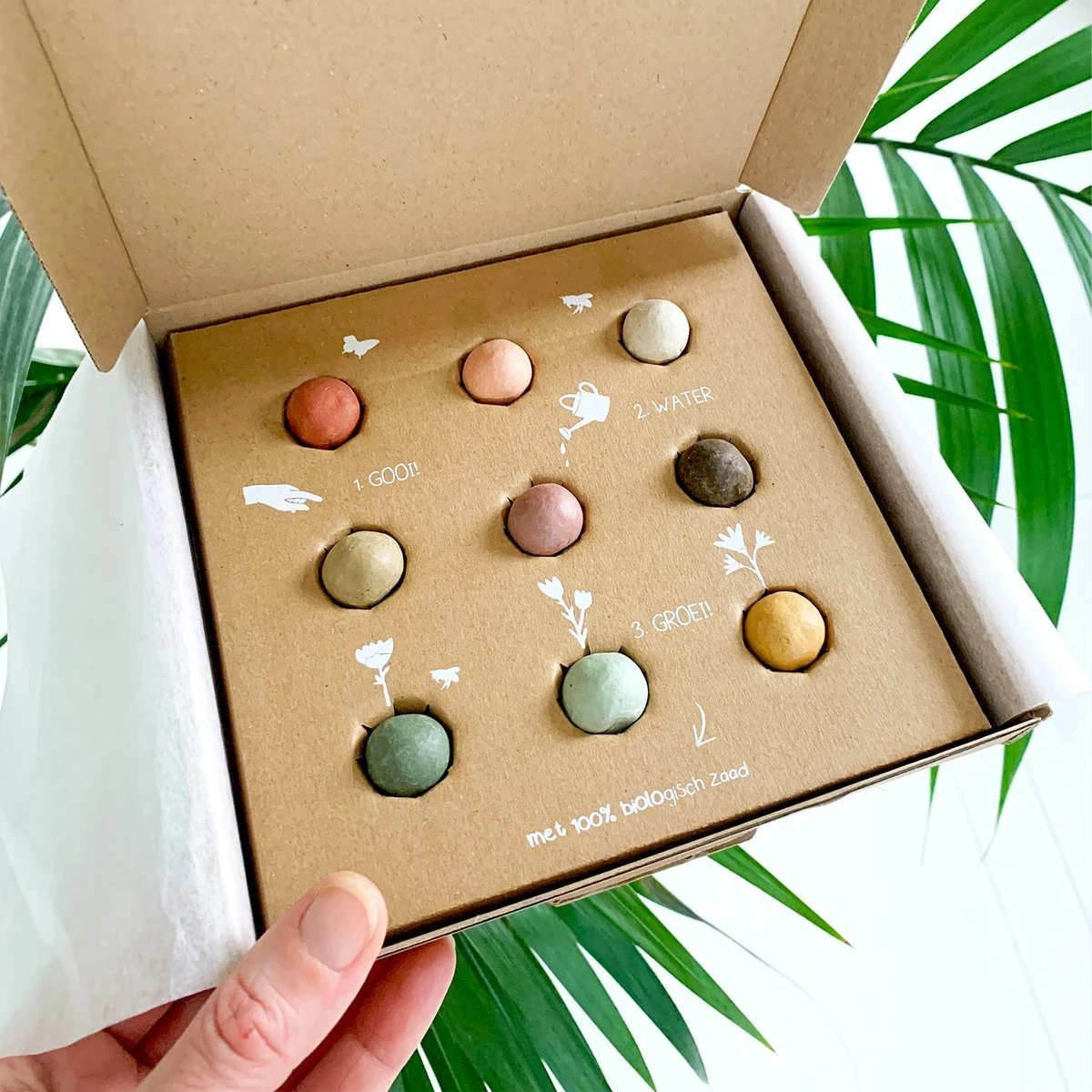 Blossombs Giftbox Medium Zaadbolletjes - 9 Stuks - Afbeelding 2