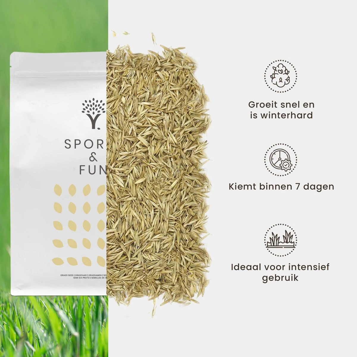 Speel En Sport Graszaad Voor 50m² Gras | Bestendig Tegen Intensief Gebruik | Gazon Voor Sporten & Spelen - Afbeelding 4