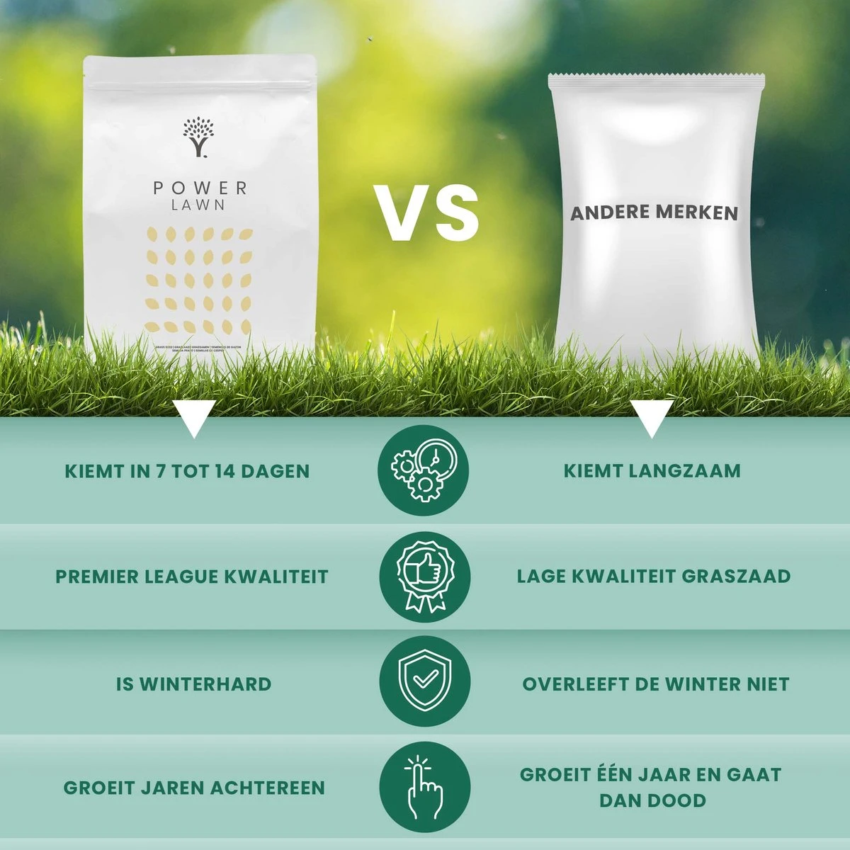 Snelkiemend Power Graszaad Voor 50m² Gras | Hoge Kwaliteit Gras Voor Een Snel Groeiend Meerjarig Gazon - Afbeelding 5