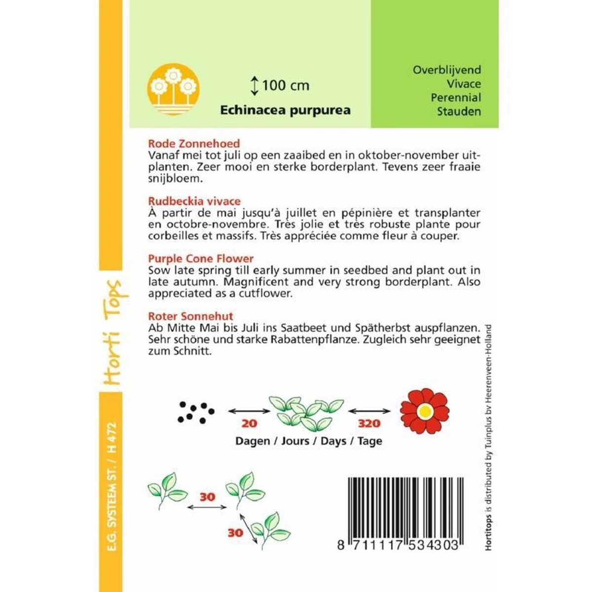 Hortitops Rode Zonnehoed Echinacea Purpurea - Afbeelding 2
