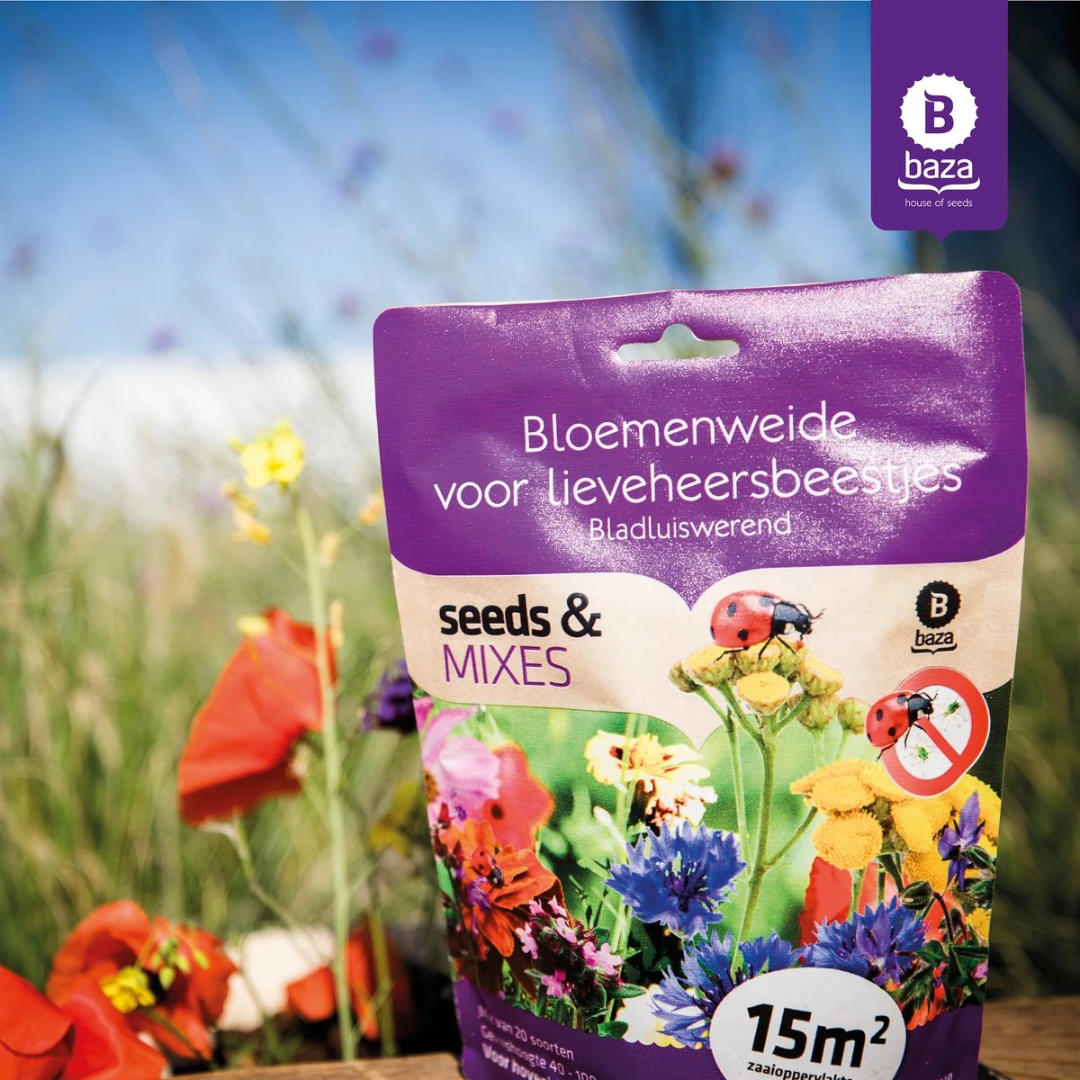 Seeds & Mixes Bloemenweide Zaden Meerjarig En Wilde Bloemen 2 Stuks - Afbeelding 2