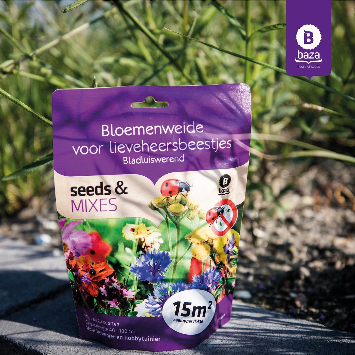 Seeds & Mixes Bloemenweide Zaden Meerjarig En Wilde Bloemen 2 Stuks - Afbeelding 4