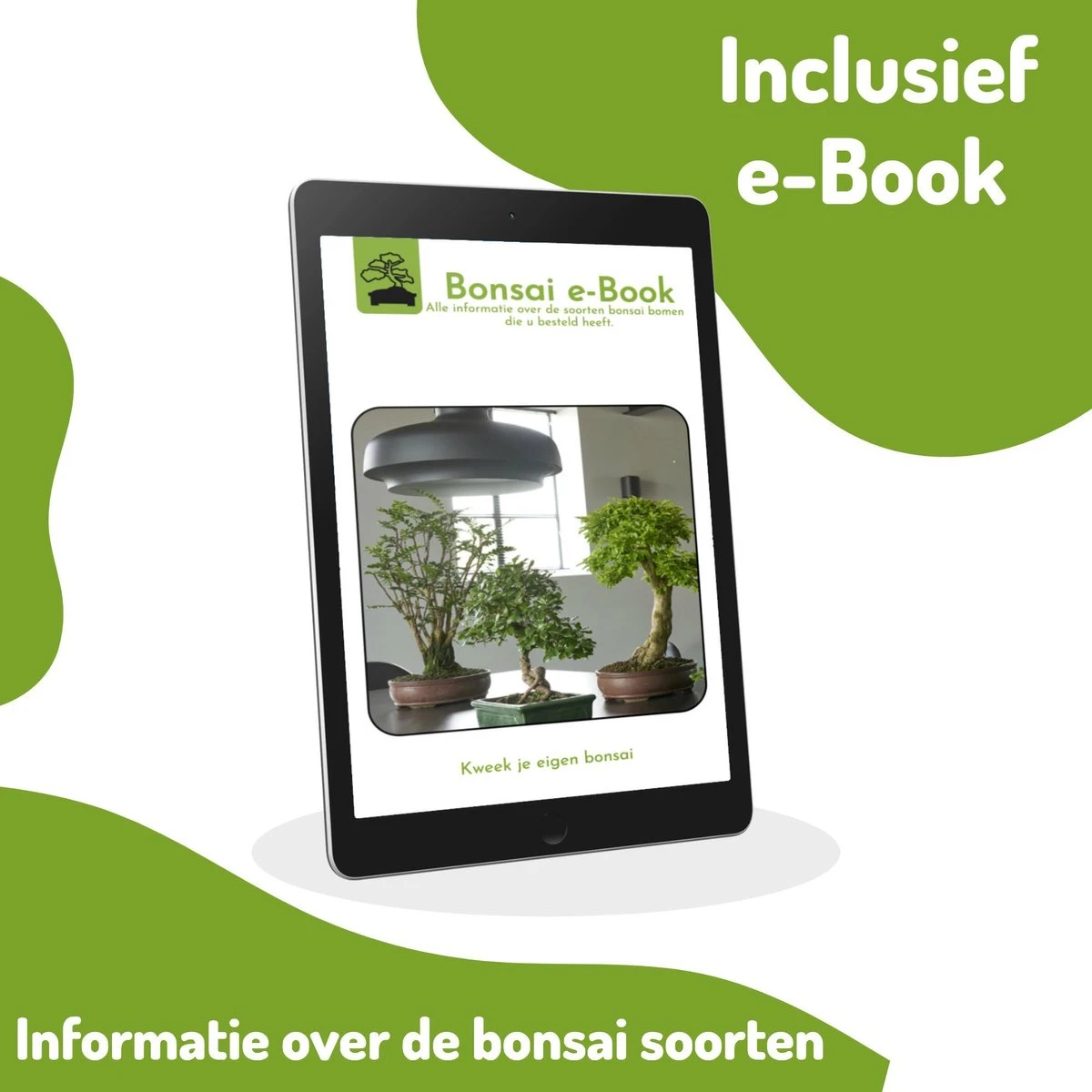 Bonsai Zaden 6 Soorten Incl. E-Book - Kweekset - Boompje In Pot - Kamerplanten – Kerstcadeau - Afbeelding 3