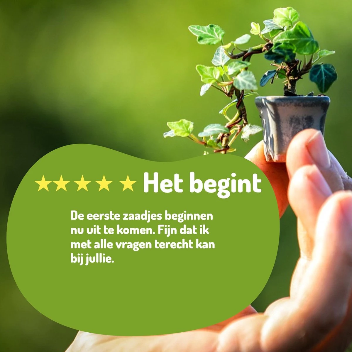 Bonsai Zaden 6 Soorten Incl. E-Book - Kweekset - Boompje In Pot - Kamerplanten – Kerstcadeau - Afbeelding 5