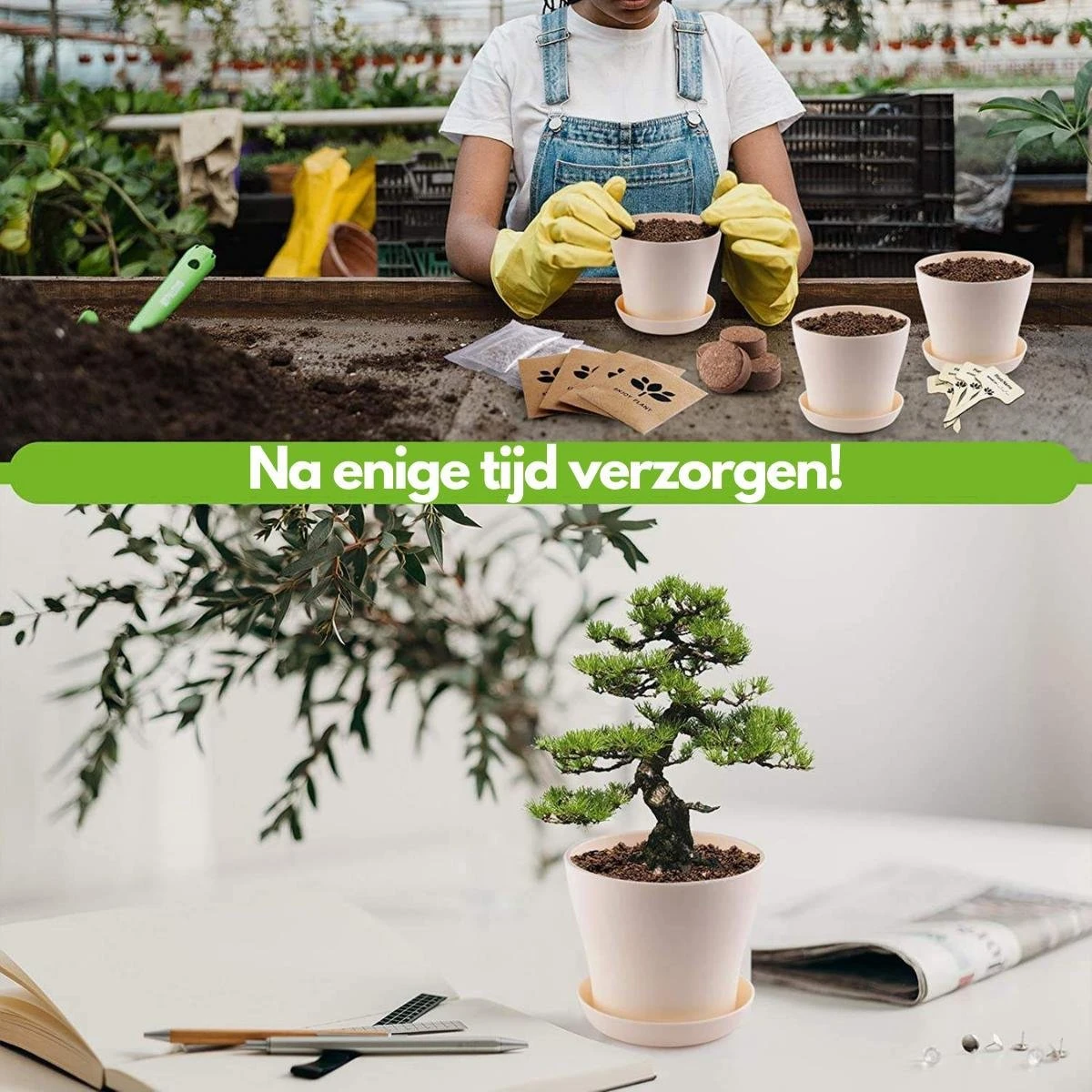 Bonsai Starters Kit - Bonsai Boompje - 5 Delige Set - 4 Soorten Zaden - Incl. E-book & Schaartje - Afbeelding 2