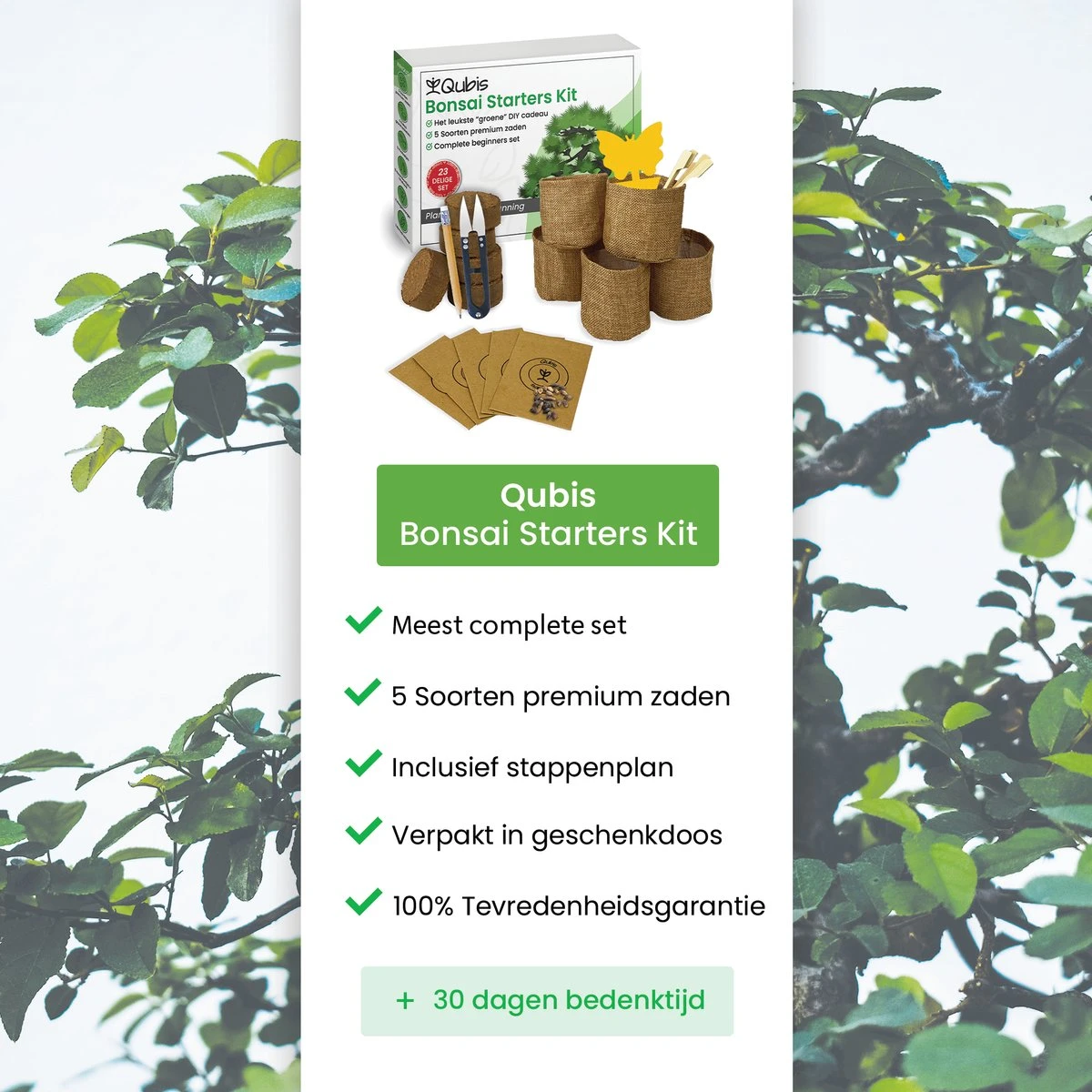 Qubis Bonsai Starters Kit - 23 Delige Kweekset - 5 Soorten Premium Zaden - DIY Pakket - Binnen Bonsai Boompje Kweken - Incl. Rouwvliegjes Vanger - Afbeelding 2