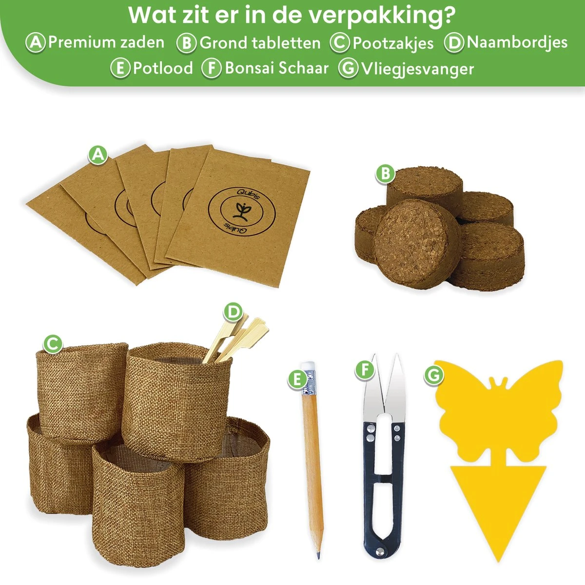 Qubis Bonsai Starters Kit - 23 Delige Kweekset - 5 Soorten Premium Zaden - DIY Pakket - Binnen Bonsai Boompje Kweken - Incl. Rouwvliegjes Vanger - Afbeelding 3