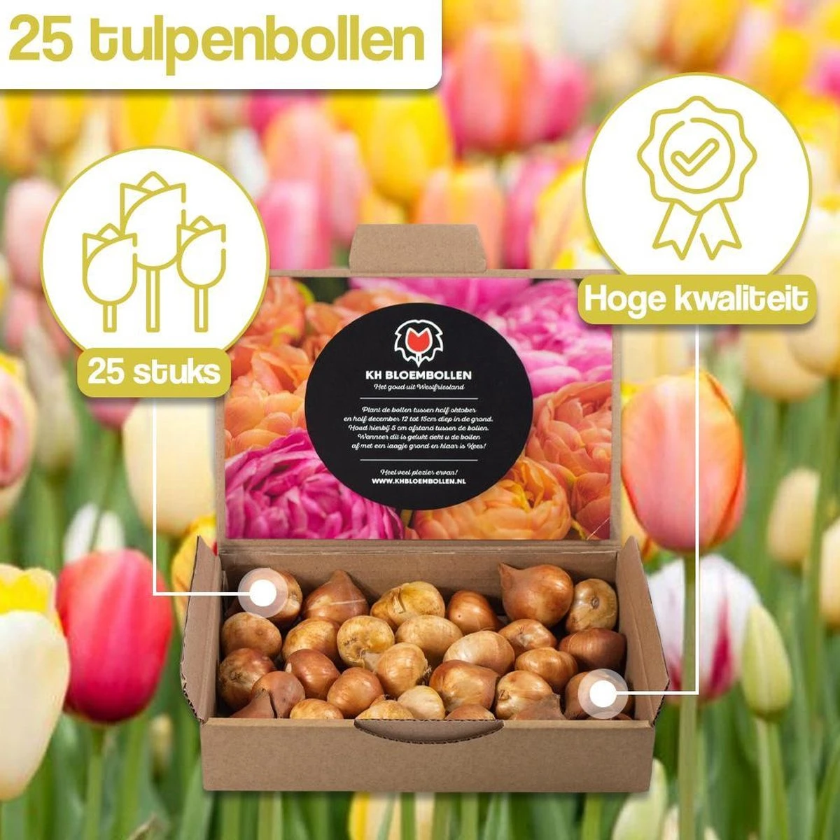 Merkloos Verschillende Kleuren Tulpenbollen Mix Met 30 Tulpen Bollen - Bloembollen Mix - Tuin - Tuindecoratie - Bloemen - Balkon - Afbeelding 5