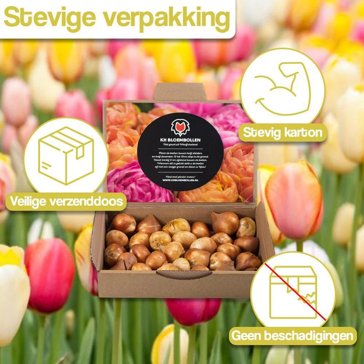 Merkloos Verschillende Kleuren Tulpenbollen Mix Met 30 Tulpen Bollen - Bloembollen Mix - Tuin - Tuindecoratie - Bloemen - Balkon - Afbeelding 10