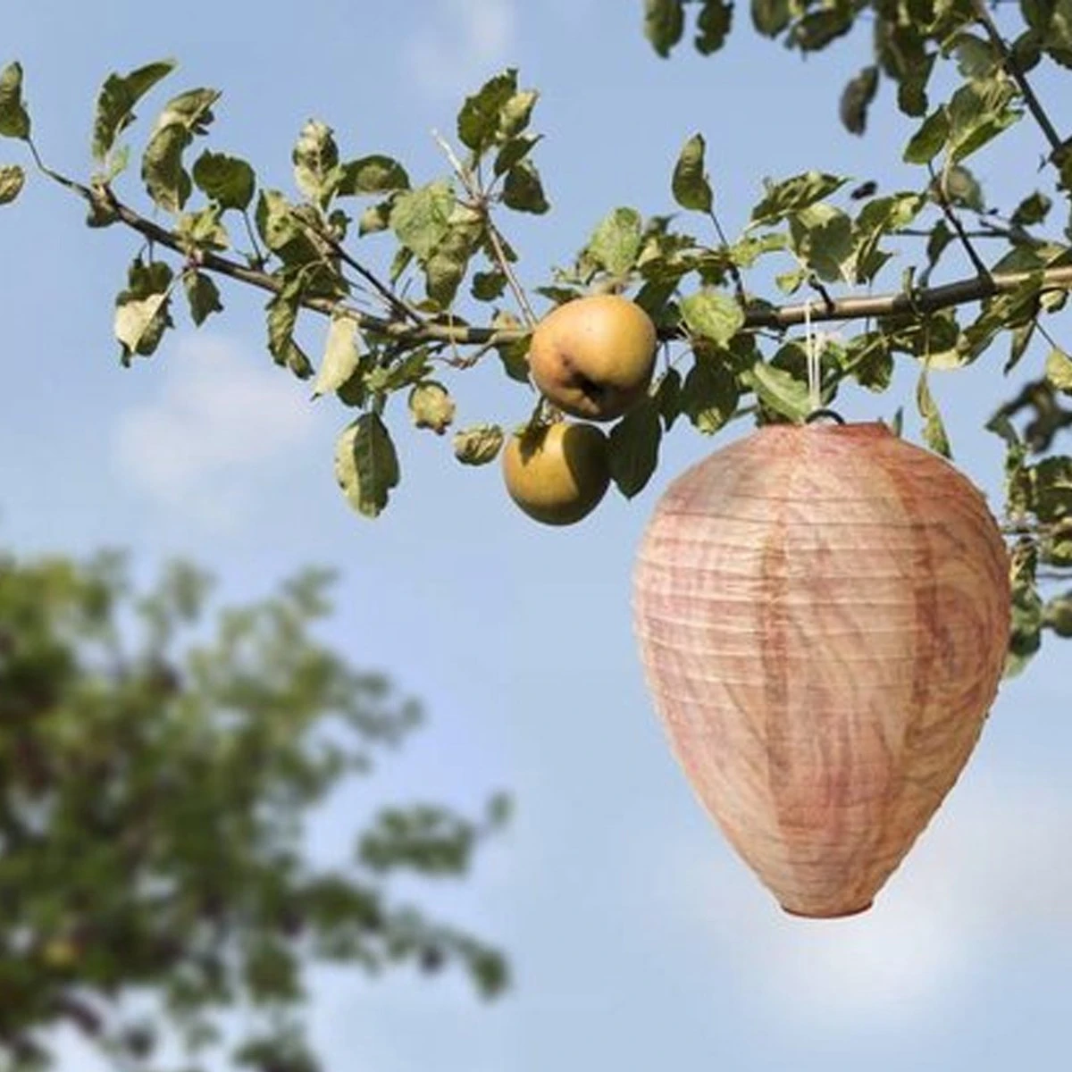 Wespenverjager – Wespen Verjagen – Bijenverjager – Wespennest – Dummy Wespennest - Wespinator – 2 Stuks - Afbeelding 6