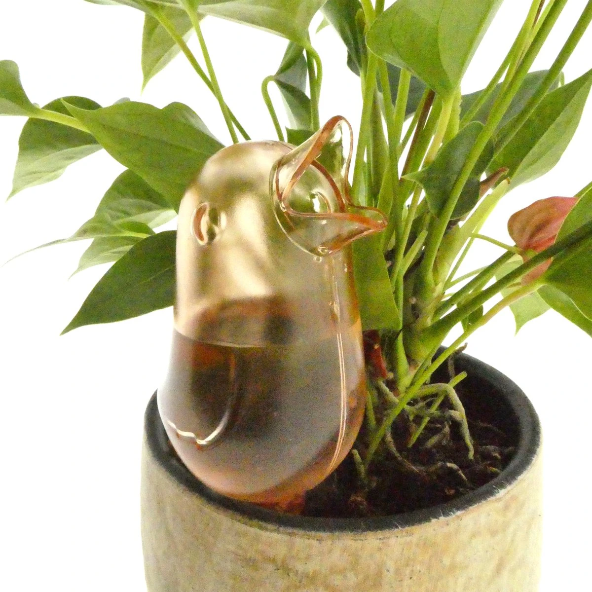 JS Drippy - Waterdruppelaars Set Van 2 Stuks - Druppelaar Vogel - Druppelsysteem Planten - Watergeefsysteem Kamerplanten - Waterbol - Roze - Afbeelding 3